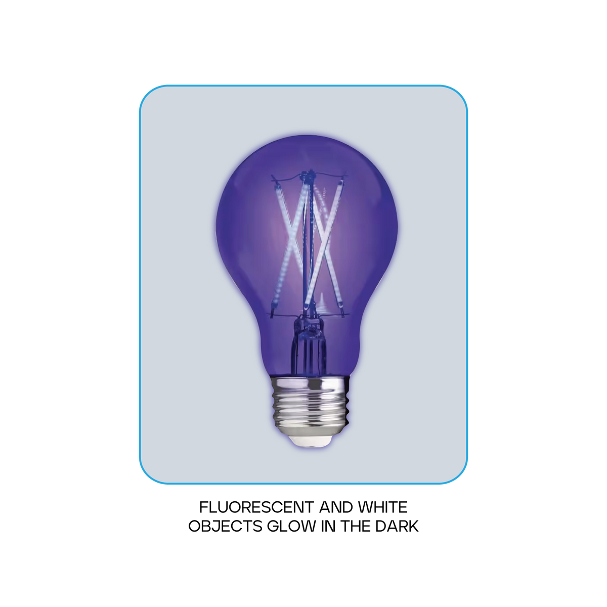 Luxrite LR21729 A19 6W Black Light LED Light Bulb