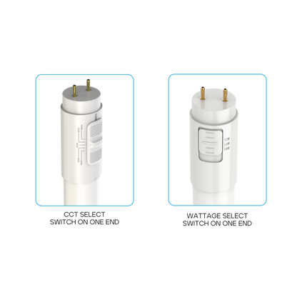 Luxrite LR34238 4' T8 Bypass 5 CCT & Wattage Selectable LED Light Bulb