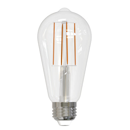 Bulbrite 776745 13W ST18 Warm White LED Light Bulb