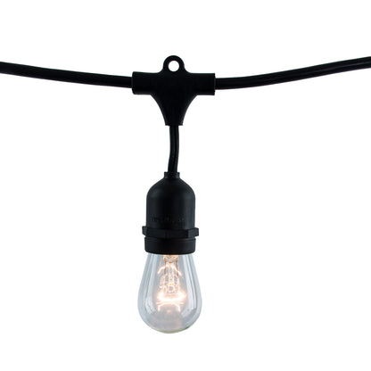 Bulbrite 810006 Bulbrite 14 ft, 10-Socket Decorative Kit with Clear Incandescent STRING10/E26/BLACK-S14KT Indoor and Outdoor String Lights, Foot, Black